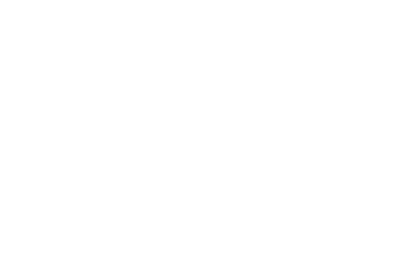 LKW